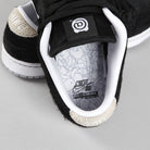 Nike SB x Medicom Toy Dunk Low Pro PS