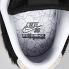 Nike SB x Medicom Toy Dunk Low Pro PS